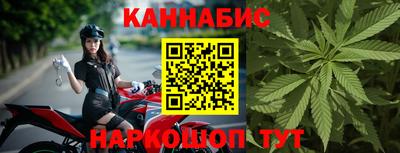 прущие грибы Тула