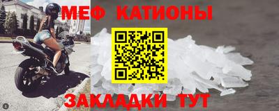 прущие грибы Тула