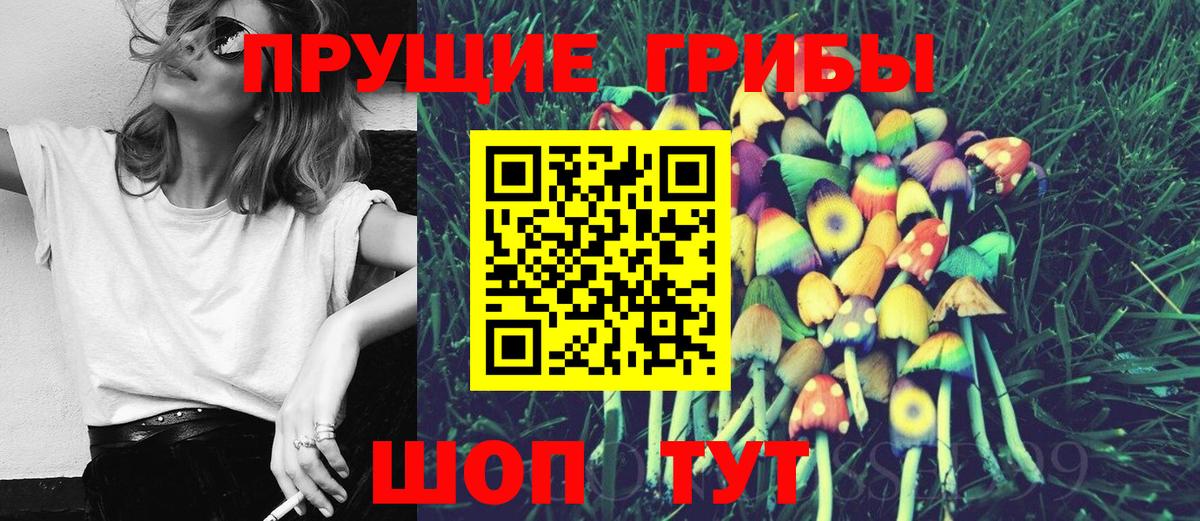 Псилоцибиновые грибы Psilocybine cubensis Можайск